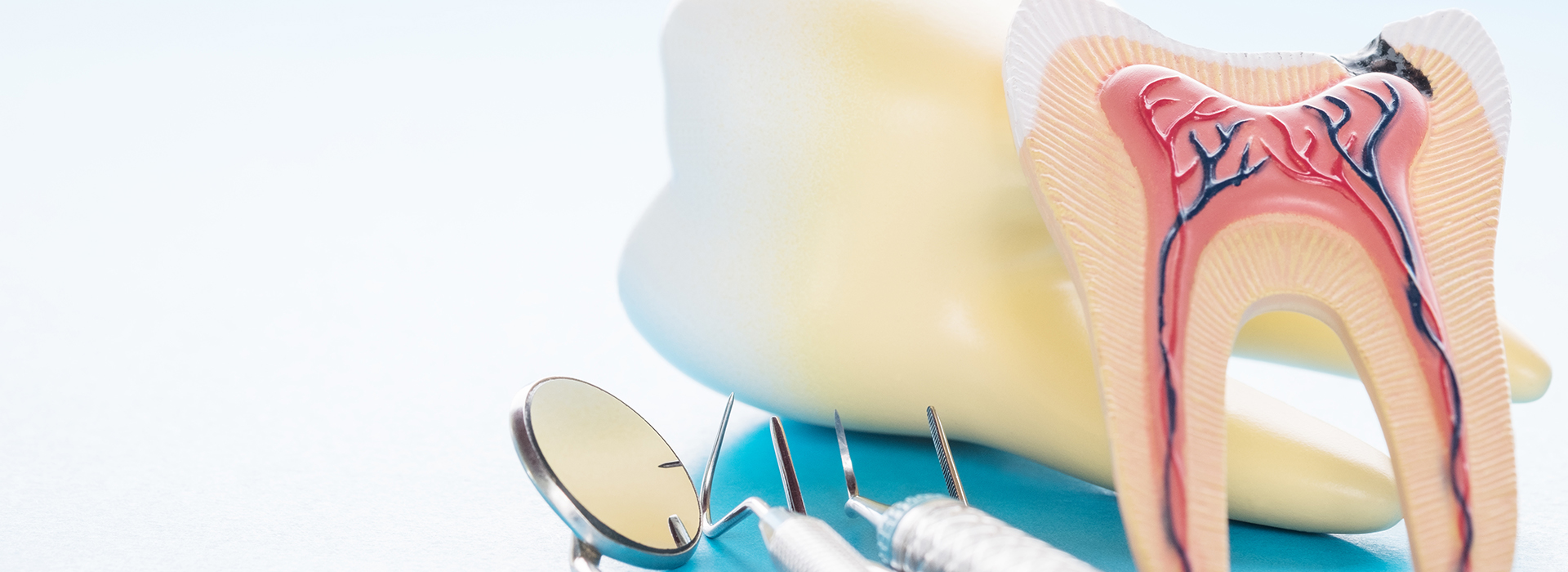 An advertisement image featuring a toothbrush, dental floss, and a toothpaste tube with a tooth model illustrating proper brushing technique.